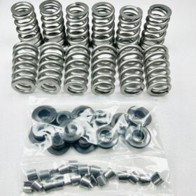 12 Valve spring set