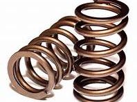 Hamilton Cams Valve Springs